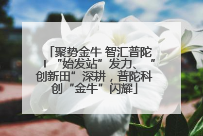 聚势金牛 智汇普陀〡“始发站”发力、“创新田”深耕，普陀科创“金牛”闪耀